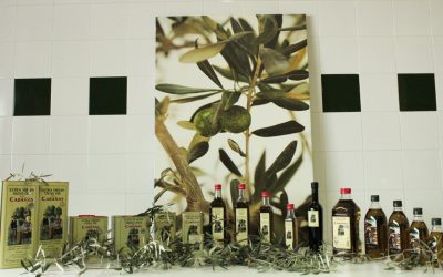 Qué es el aceite de oliva y sus tipos