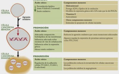 Aceite de oliva y la salud